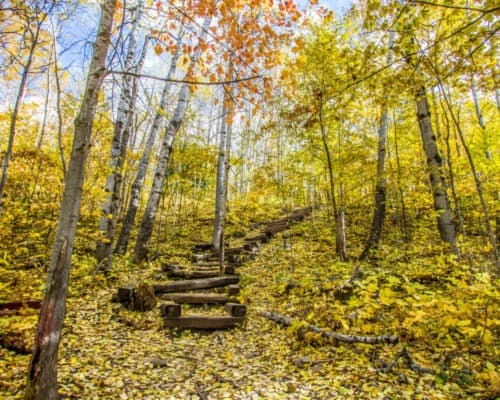 The Stairs Leading to the Superior Hiking Trail