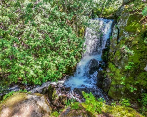Rose Lake Waterfall BWCA