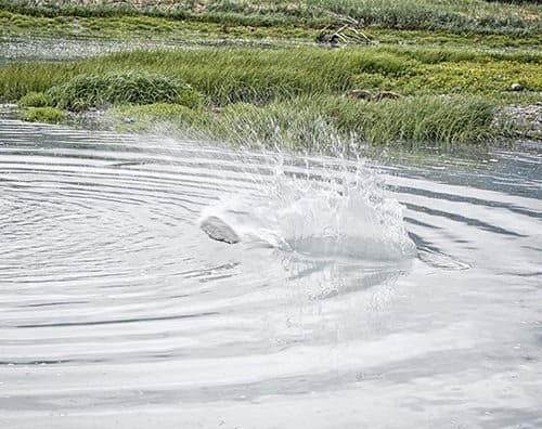 Rock Skipping