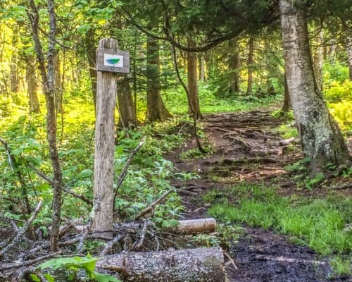 Superior Hiking Trail and Ski Trails at Cascade River State Park