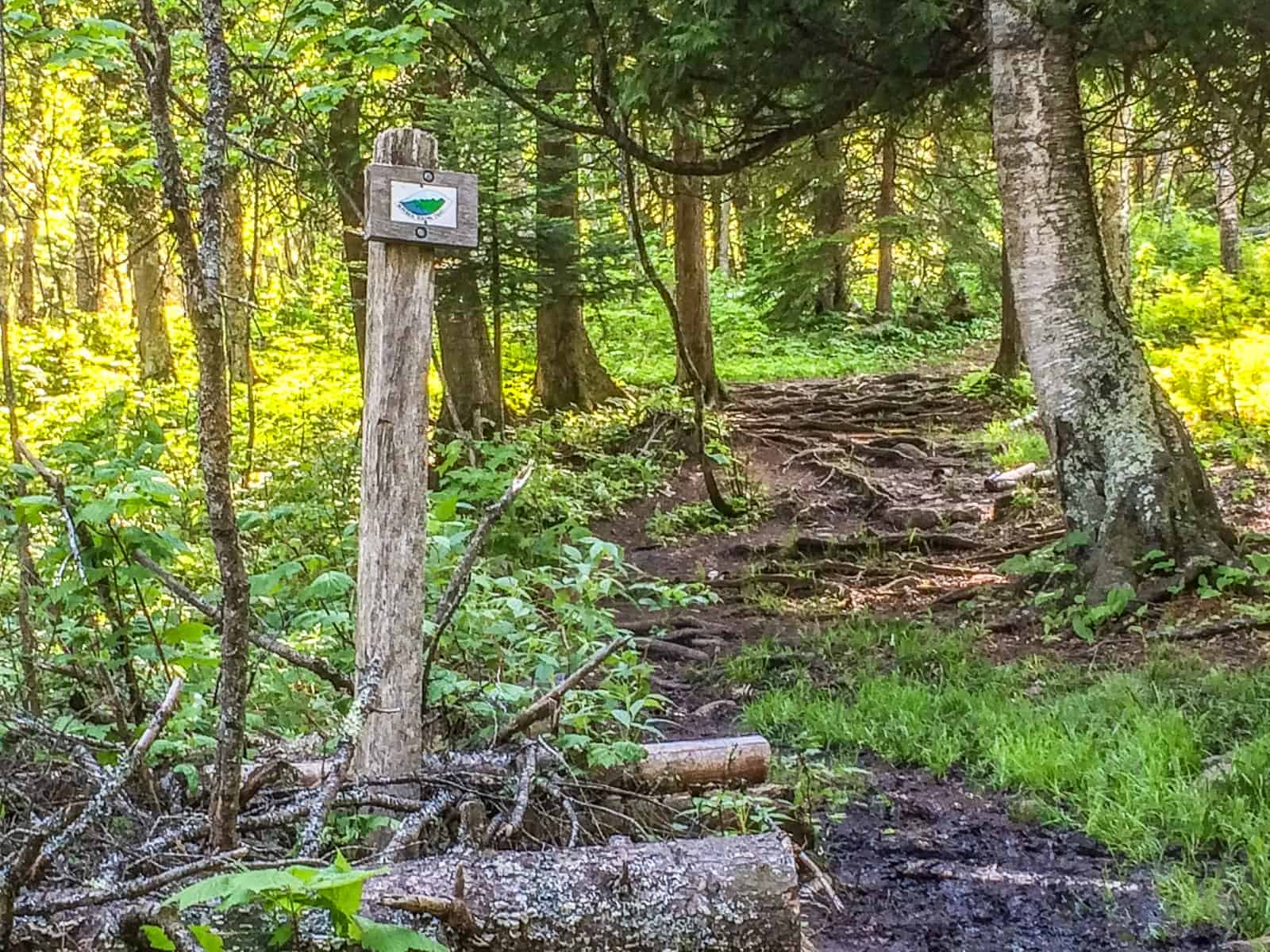 Superior Hiking Trail and Ski Trails at Cascade River State Park