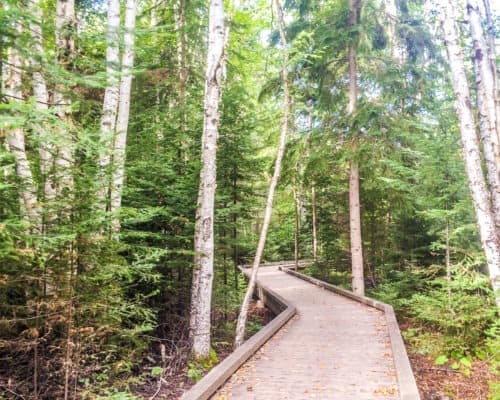 Accessible Hiking Trails at Grand Portage State Park
