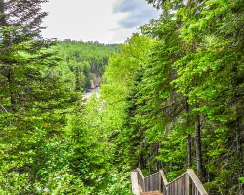 Stairs on the hike to Devils Kettle Waterfall