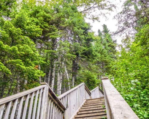 The hike to the Devils Kettle Waterfall in Judge CR Magney State Park requires many stairs