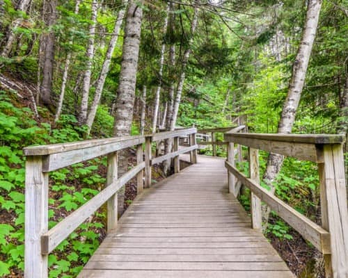 Boardwalk on Hiking Trail at Jduge CR Magney State Park