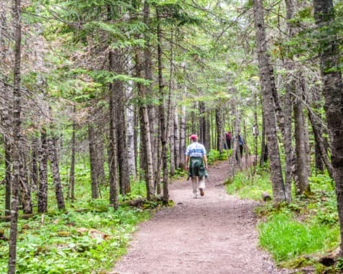 Hike to the Devils Kettle Waterfall