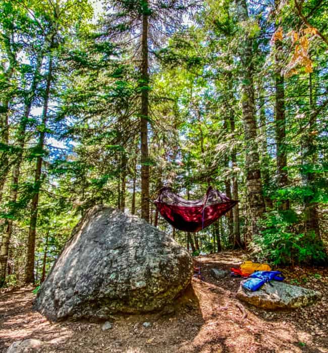 Jaye's Hammock