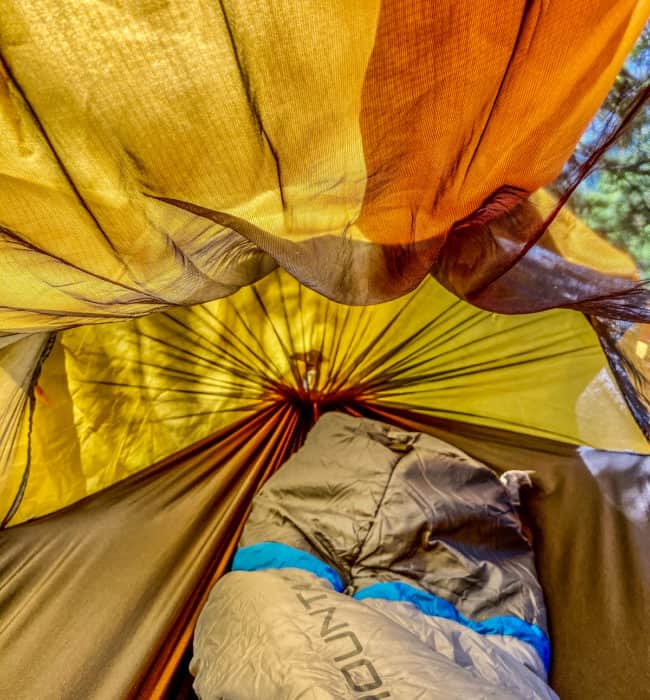 Inside the Hammock